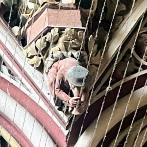 Freiburg Münster Trompetentierchen