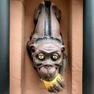 Freiburg Rau-Brunnen Affe