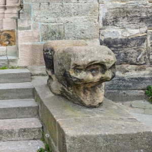 Bamberg Dom Kröte