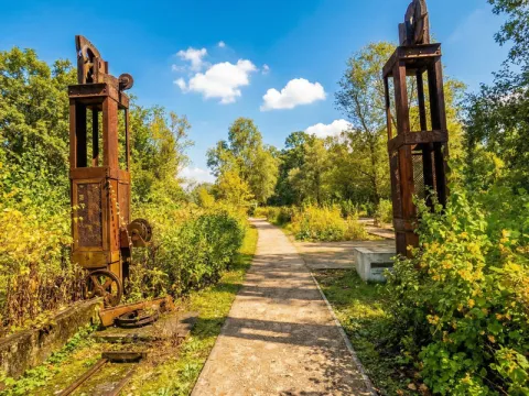 Essen Zeche Zollverein Neophytengarten